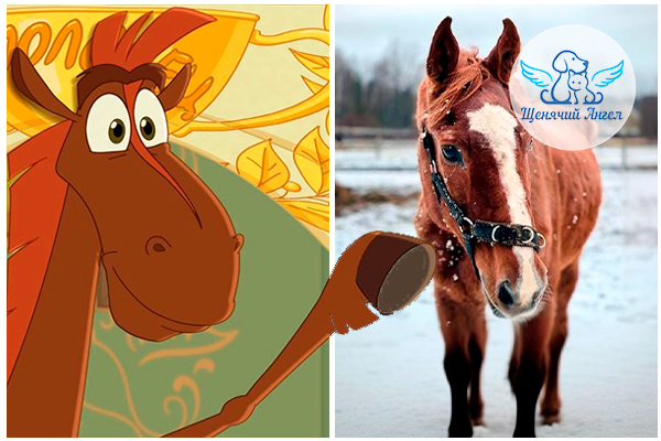 Сходство между Юлиями определенно есть