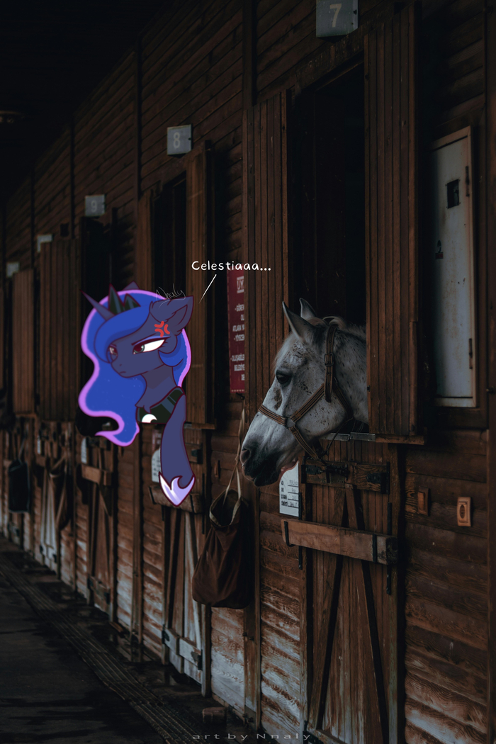 Селетиииияяя