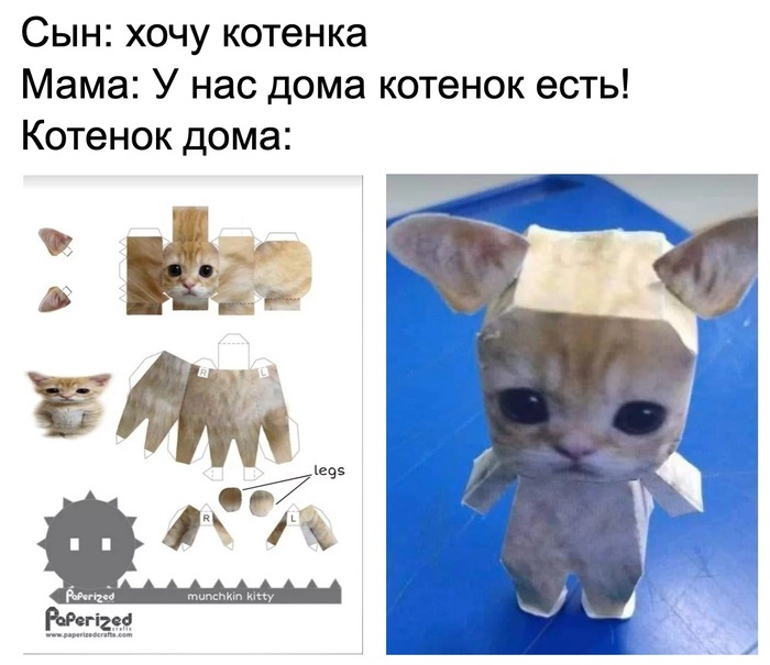 Котенок
