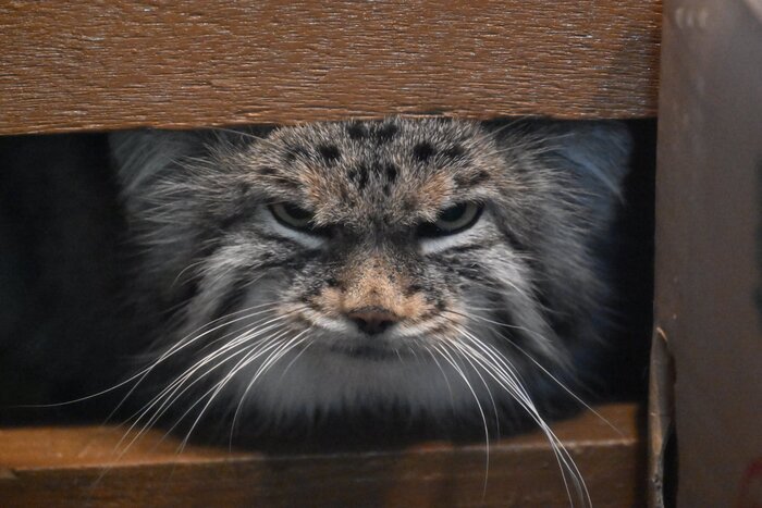 В мыслях о завтра...