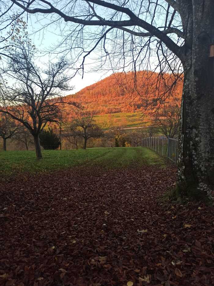 Ответ на пост «Горы и осень»