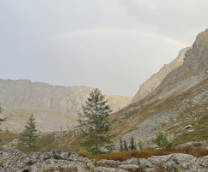 ������ � �����