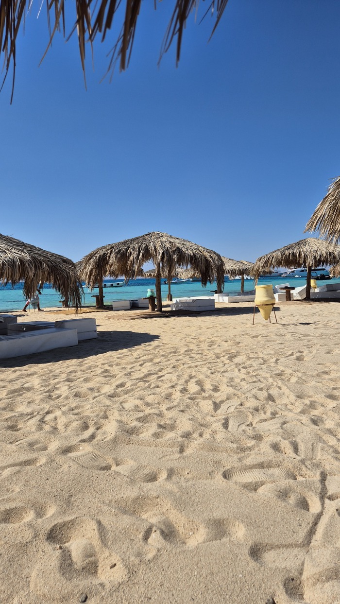 ���� ������������ ����� ������ ���� � �������� ������ .� ���������������� ���������� ����� � ����