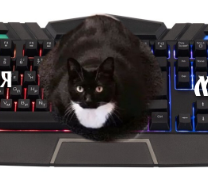 ������������