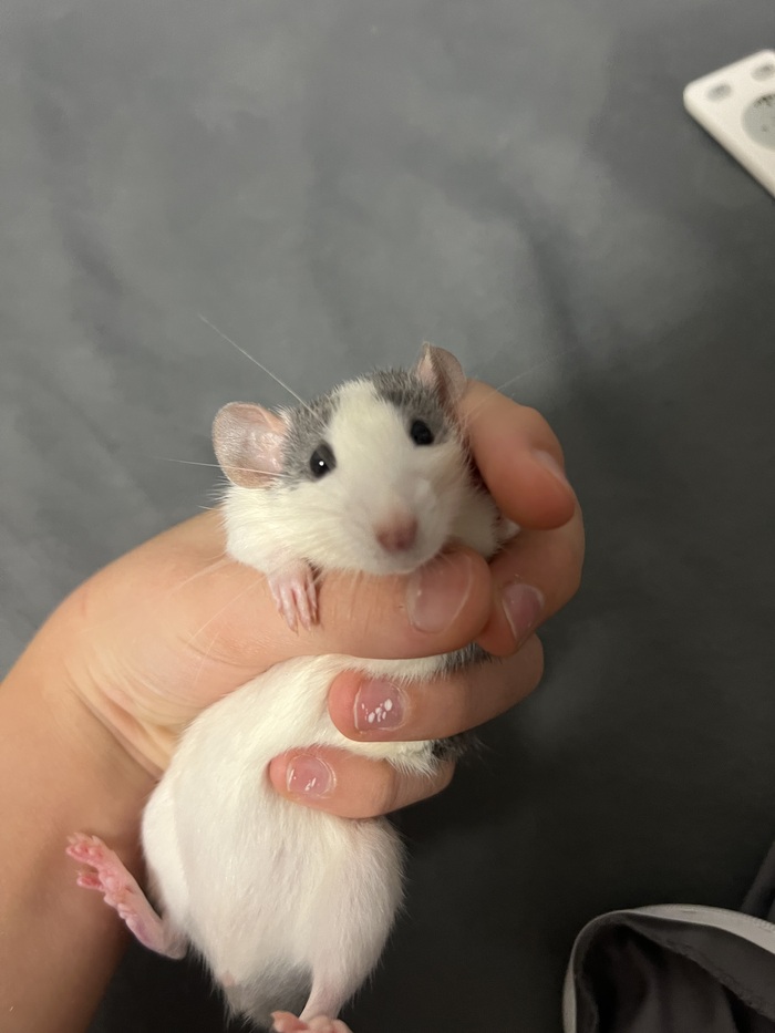 Всем привет!!