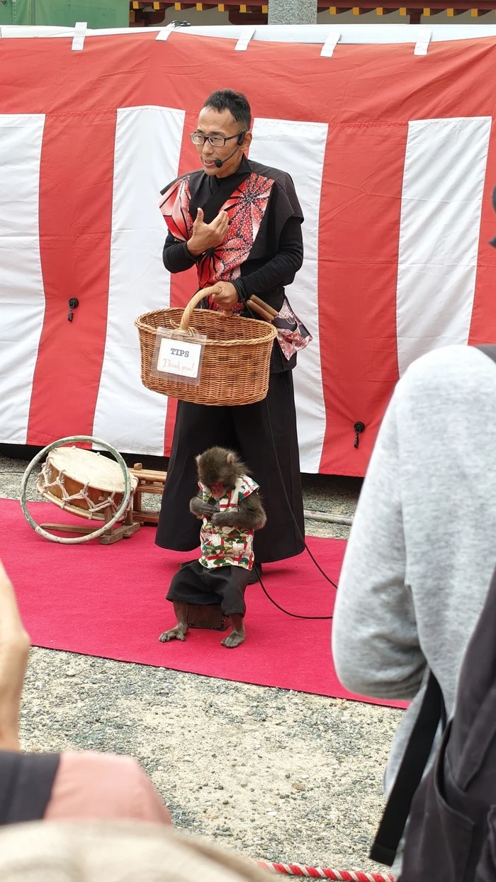 Тут же выступают бродячие артисты с ручной обезьянкой. 