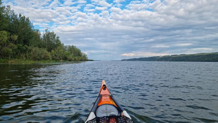         .      ,   ,       .