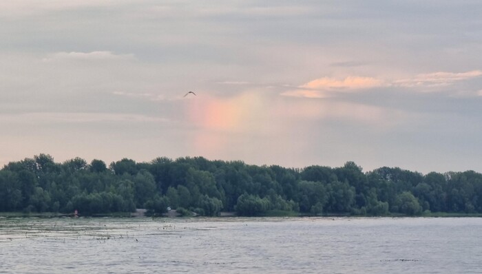       ,      . ,     "     ".      .