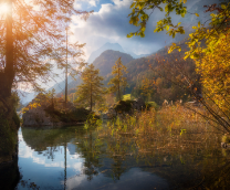 ������ �����