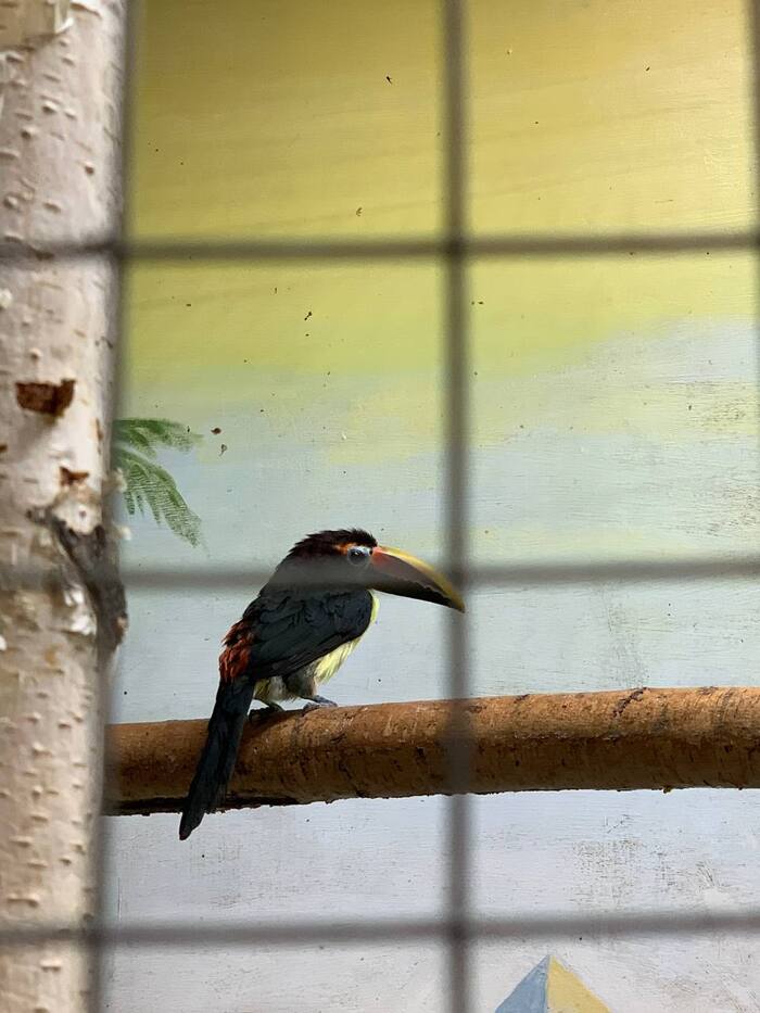 166 дней Есенина #60