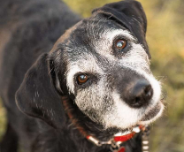 ������ � ������ ����!  ������