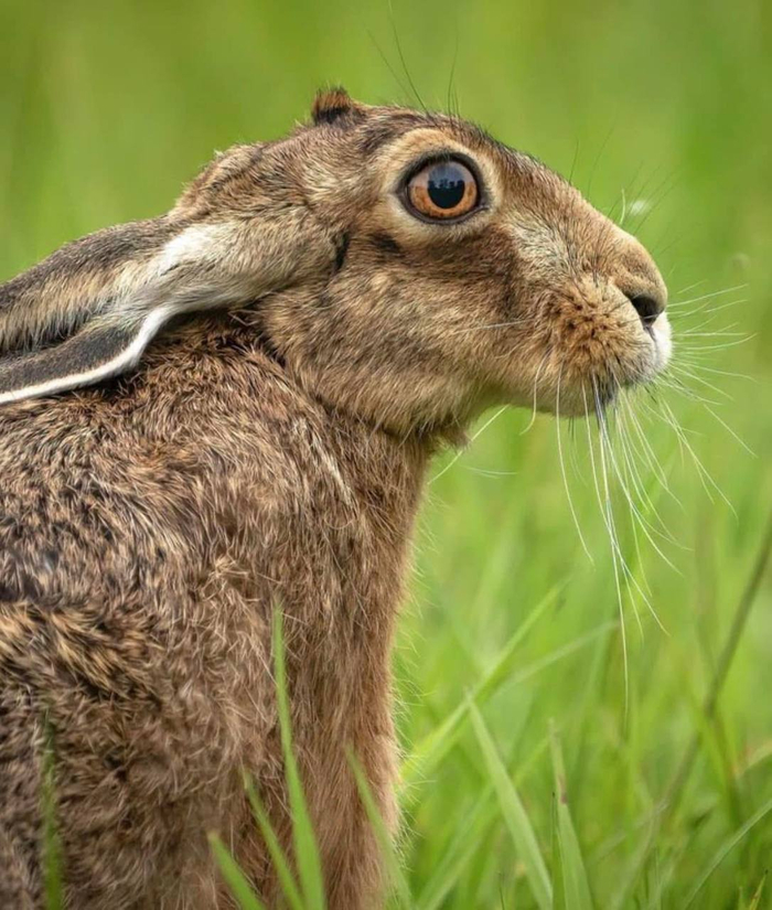 : <!--noindex--><a href="https://pikabu.ru/story/mne_snizu_vidno_vsyo_tyi_tak_i_znay_13417518?u=http%3A%2F%2Fpaulbrowning.photography&t=paulbrowning.photography&h=ed02fe518f24e5288b3f97099ef891e6f819e50a" title="http://paulbrowning.photography" target="_blank" rel="nofollow noopener">paulbrowning.photography</a><!--/noindex-->