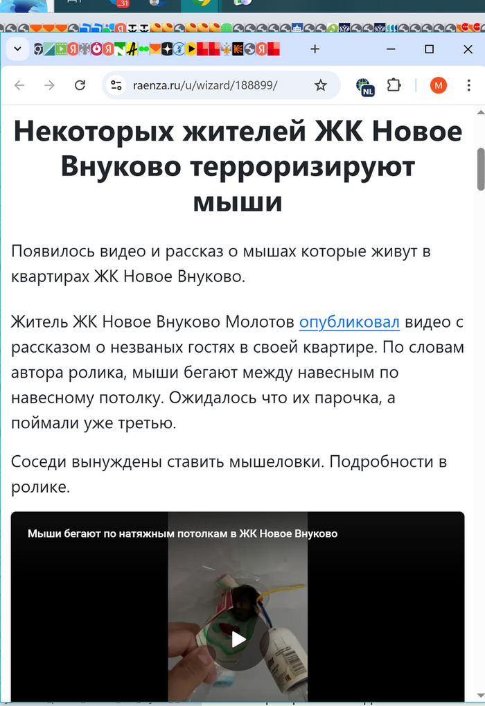    2023 ,  3 .    .         .      ,   .     -   .