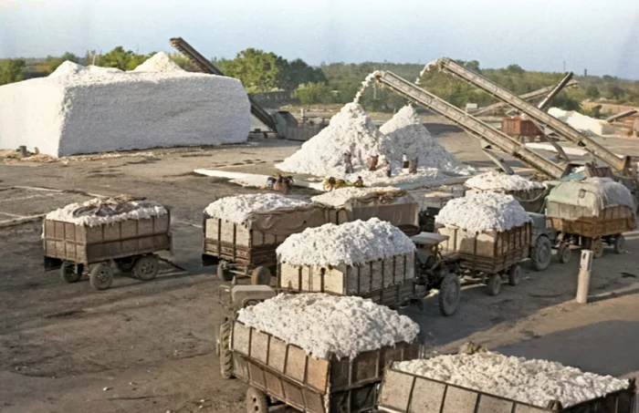 Фотограф: В. Бородин