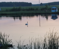 ������� ����