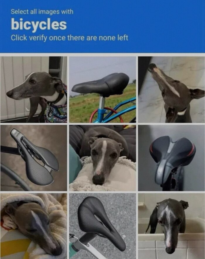 Отличите собаку от велосипеда
