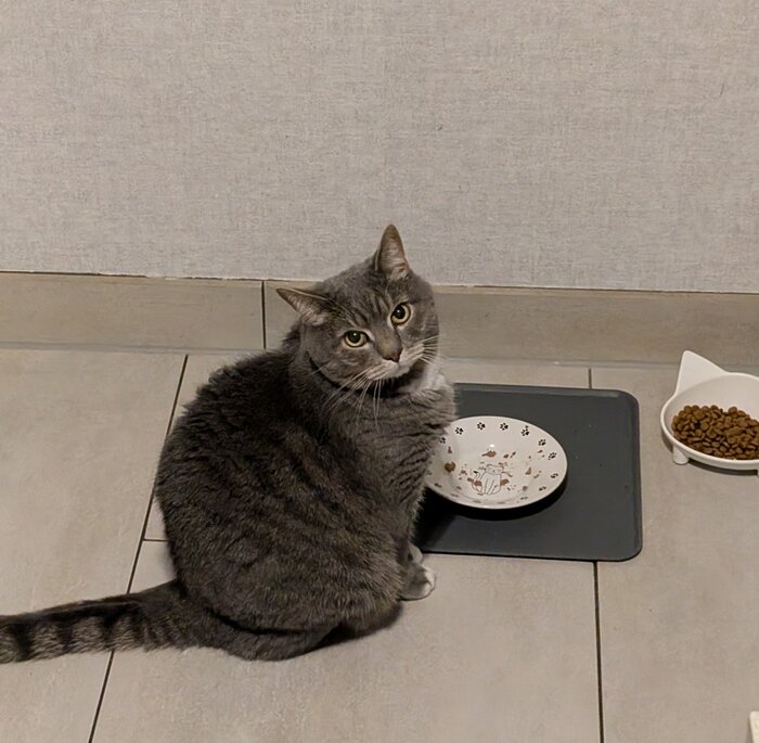 <!--noindex--><a href="https://pikabu.ru/story/muki_goloda_13419843?u=https%3A%2F%2Fx.com%2FIldar_De%2Fstatus%2F1991547012182110519&t=https%3A%2F%2Fx.com%2FIldar_De%2Fstatus%2F1991547012182110519&h=89cb447b630fa5ec327c4ec7d26537d0b3e55d8c" title="https://x.com/Ildar_De/status/1991547012182110519" target="_blank" rel="nofollow noopener">https://x.com/Ildar_De/status/1991547012182110519</a><!--/noindex-->