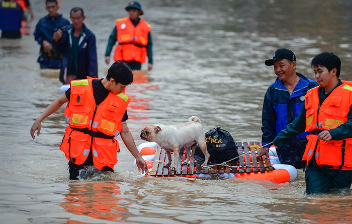 Масштабное наводнение во Вьетнаме привело к гибели 43 человек, 9 пропали без вестиФото: ЕРА/ТАСС