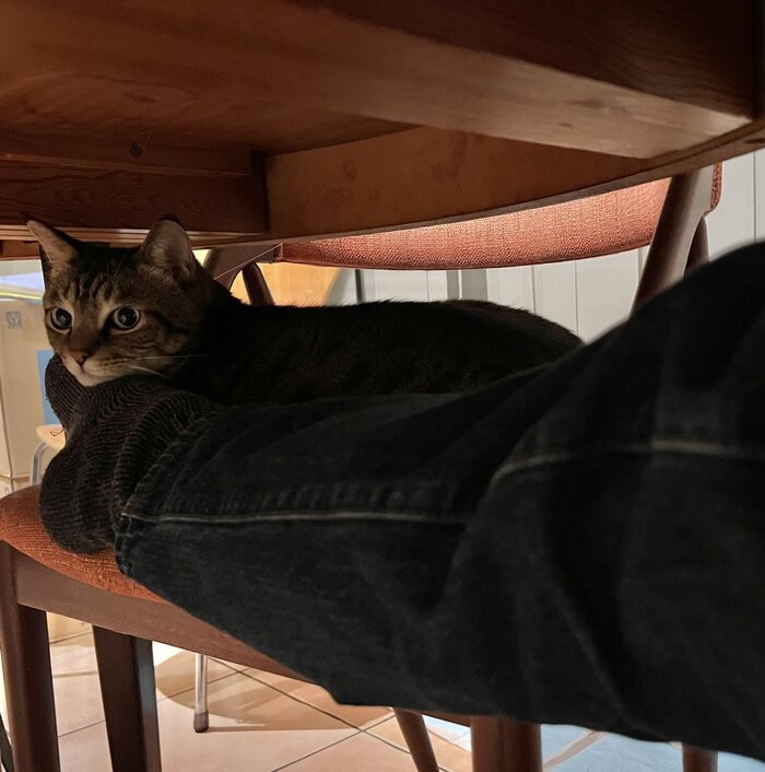 <!--noindex--><a href="https://pikabu.ru/story/podstolovaya_tyazhest_13423283?u=https%3A%2F%2Fx.com%2FShooster02Radio%2Fstatus%2F1990040311561945153&t=https%3A%2F%2Fx.com%2FShooster02Radio%2Fstatus%2F1990040311561945153&h=d8121fbf1d963fb7494424ce10bbd8311d929d63" title="https://x.com/Shooster02Radio/status/1990040311561945153" target="_blank" rel="nofollow noopener">https://x.com/Shooster02Radio/status/1990040311561945153</a><!--/noindex-->