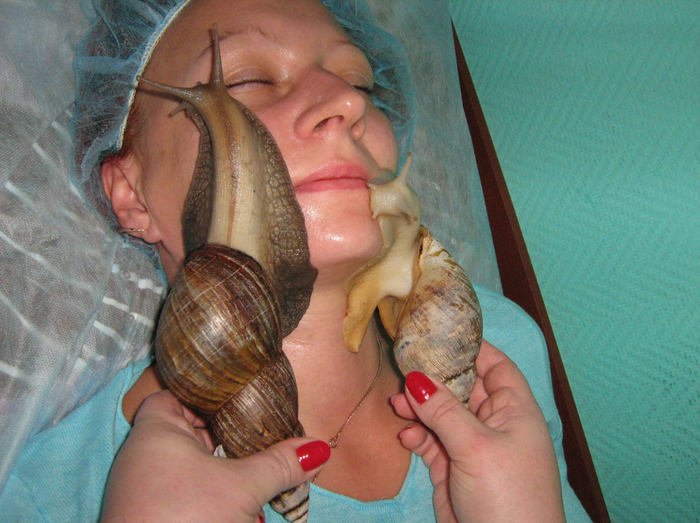 До сих пор существует весьма странная косметическая процедура. Теория гласит, что ахатины очищают лицо от старой кожи, своего рода пилинг. На деле же можно подхватить какую-нибудь заразу.