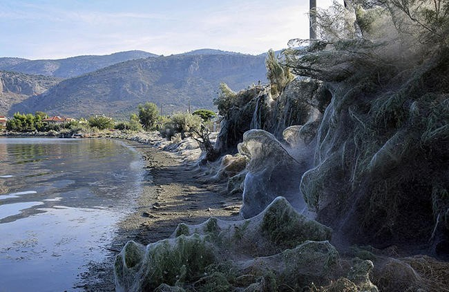 Зато мошкары нет! Хотя я даже не знаю, что хуже...