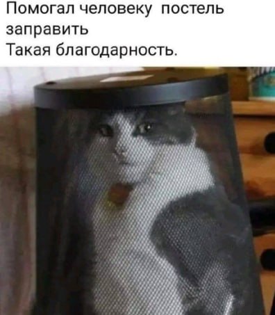 Такая благодарность