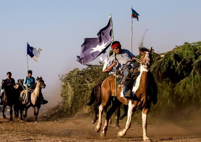 Современные мапуче