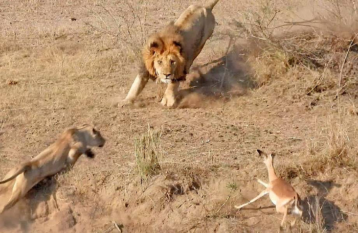 Кто-то попал...