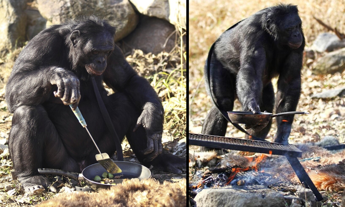 Когда он решил сделать завтрак в постель, но убирать за ним всё равно будешь ты!