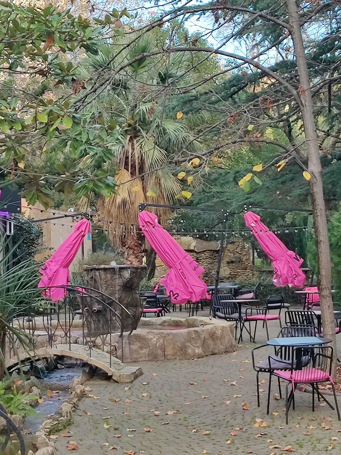 Сочинские инсталляции