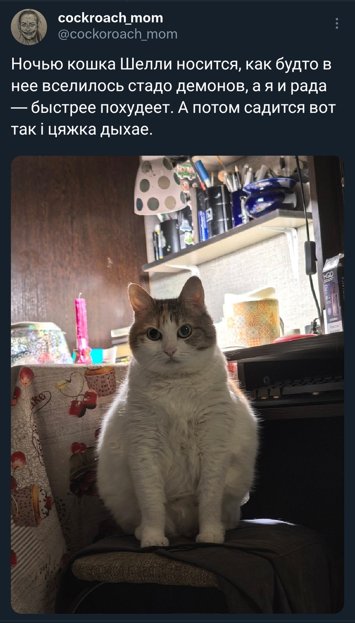 <!--noindex--><a href="https://pikabu.ru/story/_natasha_v_dogonyalki_ne_igrayut_solo_13427169?u=https%3A%2F%2Fx.com%2Fcockoroach_mom%2Fstatus%2F1992172350813688011&t=https%3A%2F%2Fx.com%2Fcockoroach_mom%2Fstatus%2F1992172350813688011&h=7646a090f55718278c7537f9f4cc3bdcb7593366" title="https://x.com/cockoroach_mom/status/1992172350813688011" target="_blank" rel="nofollow noopener">https://x.com/cockoroach_mom/status/1992172350813688011</a><!--/noindex-->