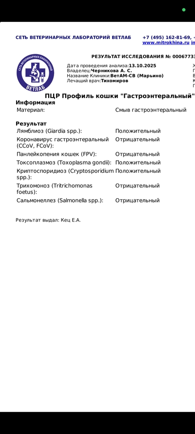 Иллюстрация к комментарию