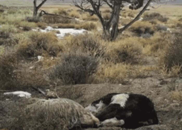 ,   ,   ,    . -   ,    ,    !