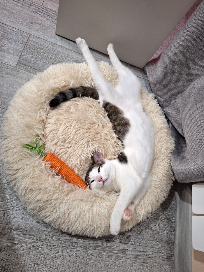 Обычное состояние, пока работаю