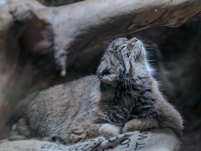 Ммммм, наконец-то снова понедельник...
