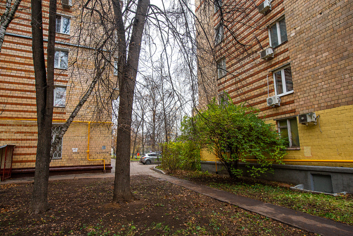  (2025 )      " ۓ    " (. . , 1965). .   