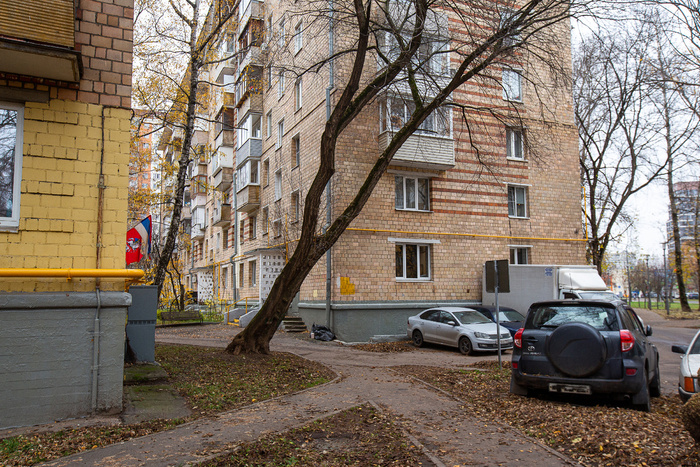  (2025 )      " ۓ    " (. . , 1965). .   