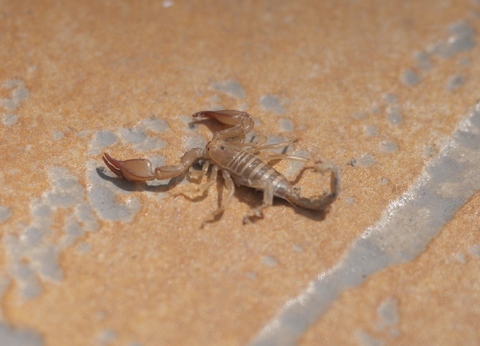 !  ,   ,  ? ,   ?    !