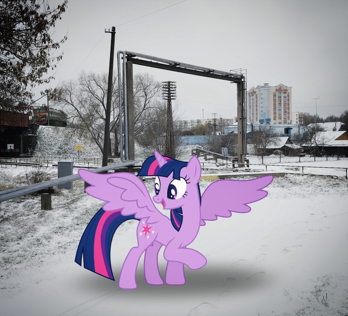  ,     ,     ,               ,        (     ?).