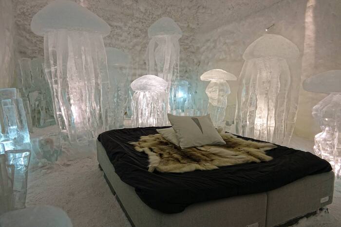  Icehotel (     )