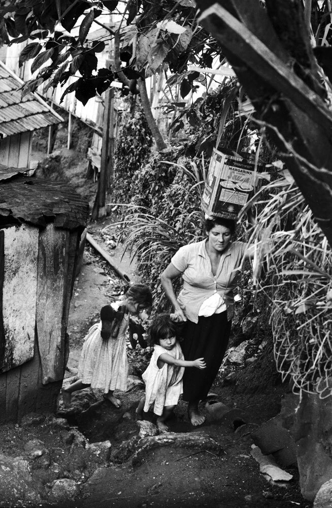       (6 )   (3 ),       11  .