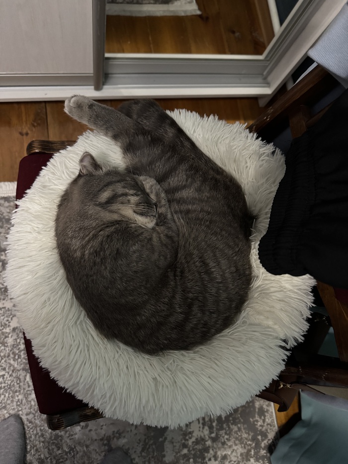 Креветочка