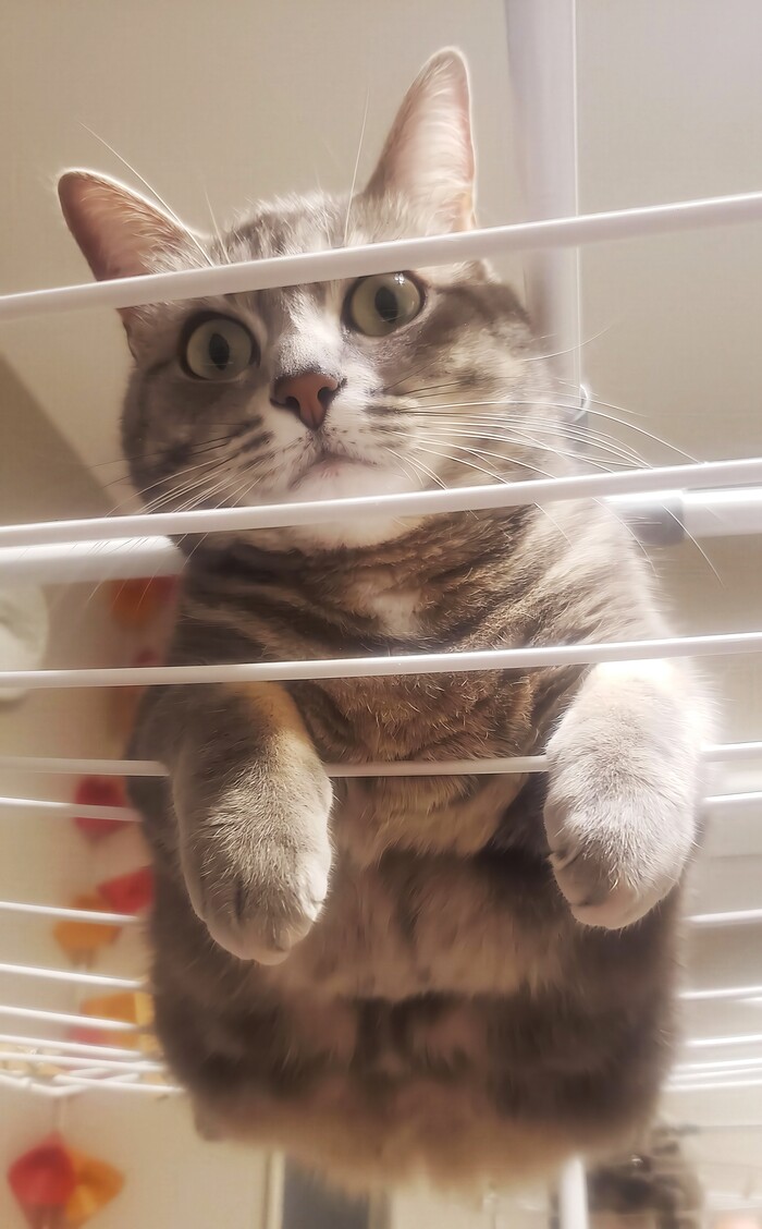 Комфорт превыше всего!