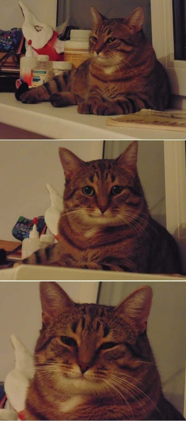 Поиск оригинала мема