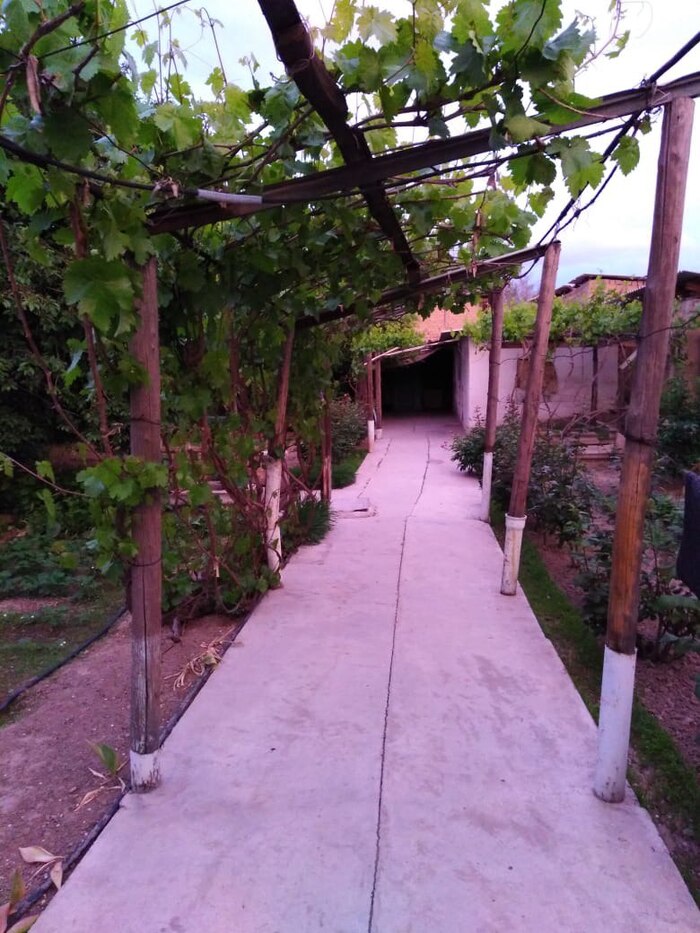 Место ДТП между вторым и третьим столбом справа) как сейчас помню) огромный шок был. Проволоку почти не видно, но она там есть