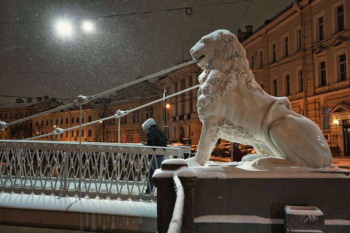 Лев под снегом