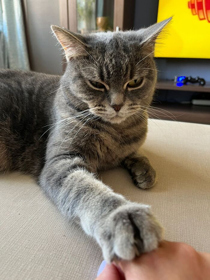 Лапы убрал, кожанный!