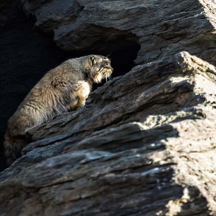 Навстречу солнцу