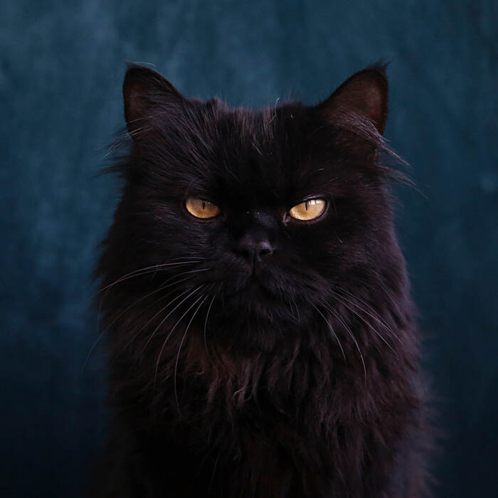       &quot;&quot;,   ,   &quot;&quot;