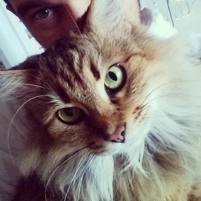    &quot;,   ,   &quot;